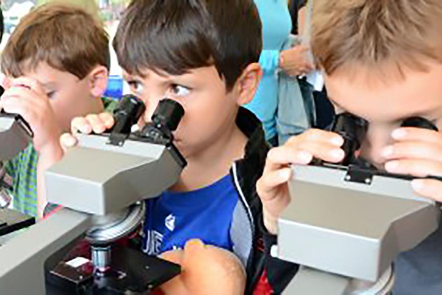 3 little boys looking through microscopes