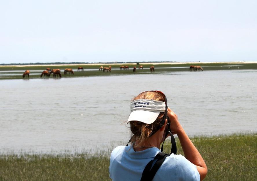 Woman standing in marshland with visor on backwards looking through binoculars.