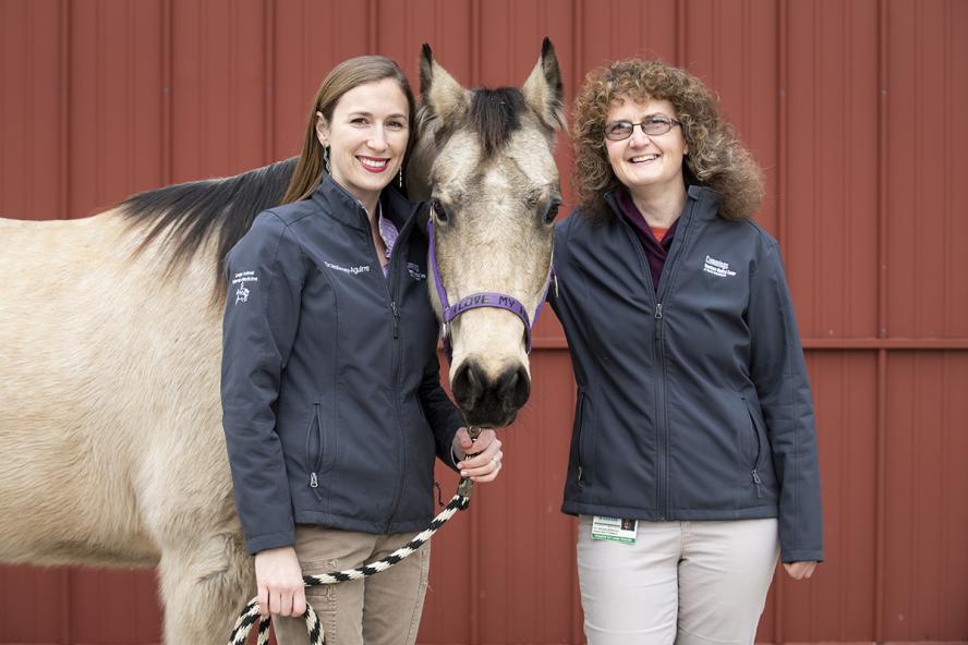 two large animal veterinarians standing with a horse in the middle