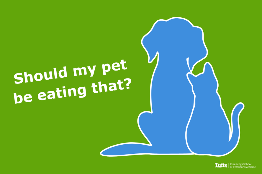 Facebook graphic with bright green background and blue silhouette of dog and cat with a question "Should my pet be eating that?