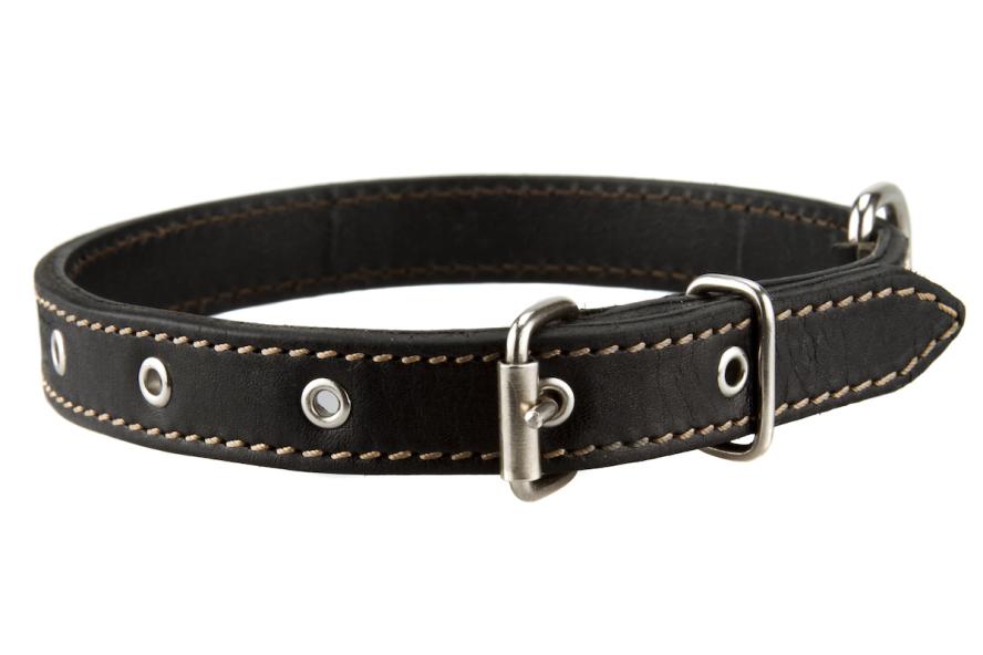 A brown leather dog collar