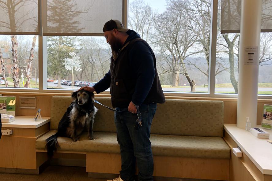 Dog sitting on bench in Foster Hospital for Small Animals with her owner petting her on the head