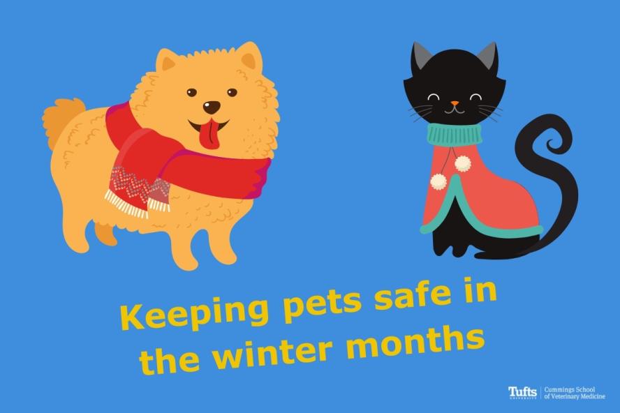 An illustration of a dog with a scarf and a cat with a sweaterl. Text: Keeping pets safe in the winter months.