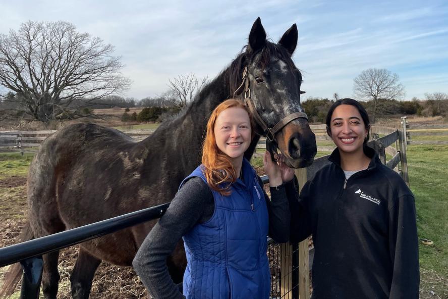 2 Equine veterinarians standing with a horse in the middle of them outdoors on a ranch