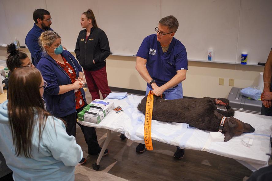 A veterinarian demonstrates how to apply a tourniquet to a simulated dog during the Nero’s Law training session.