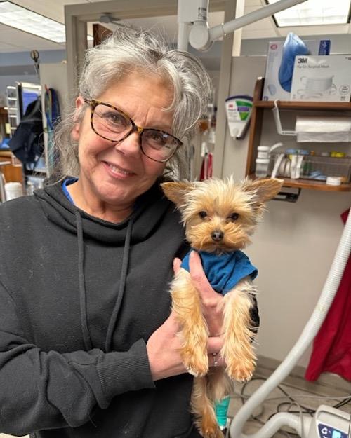 A woman with grey hair, wearing glasses is smiling while holding a little terrier dog.