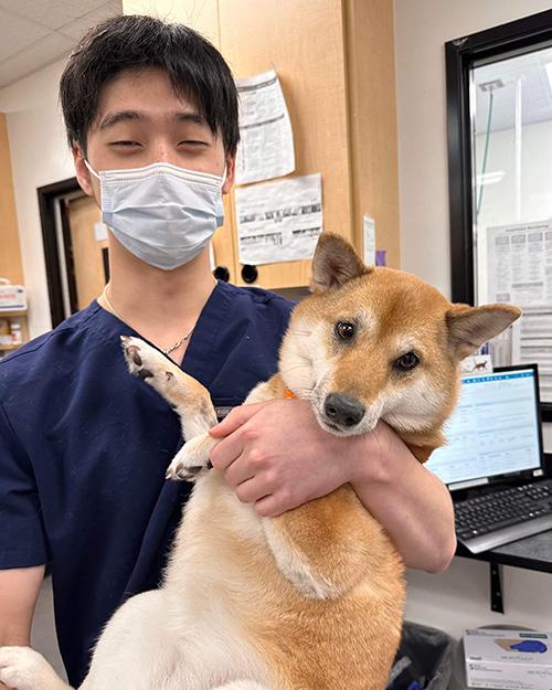 A young man wearing a medical mask with brown hair and he is holding a dog
