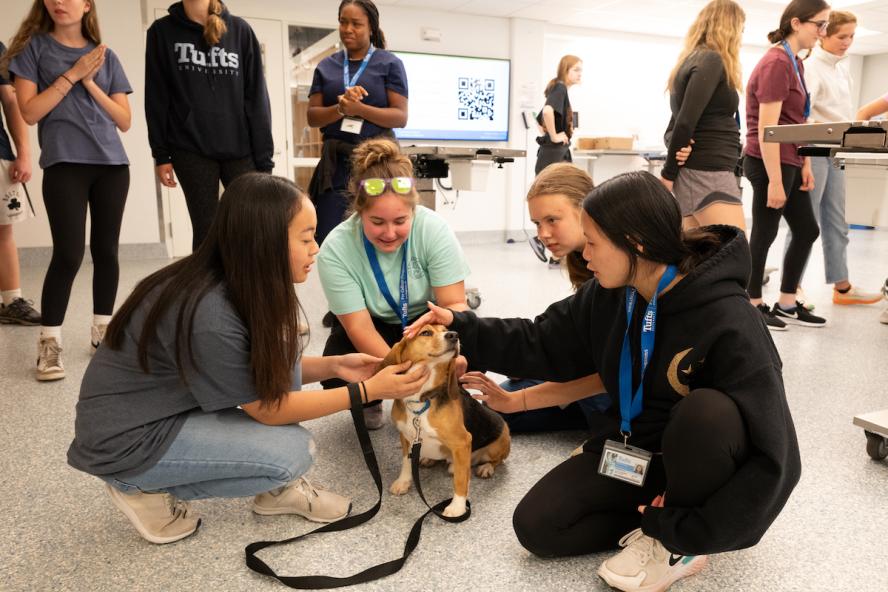 Four high school students sitting on the floor petting a beagle