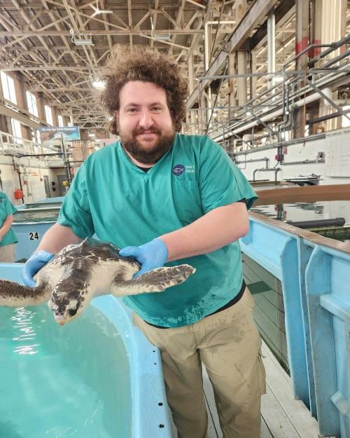 a person with brown curly hair, a beard and mustache holding a sea turtle at an indoor aquarium