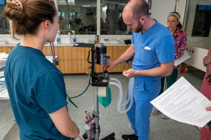 vet technician and veterinarian working with anesthesia equipment