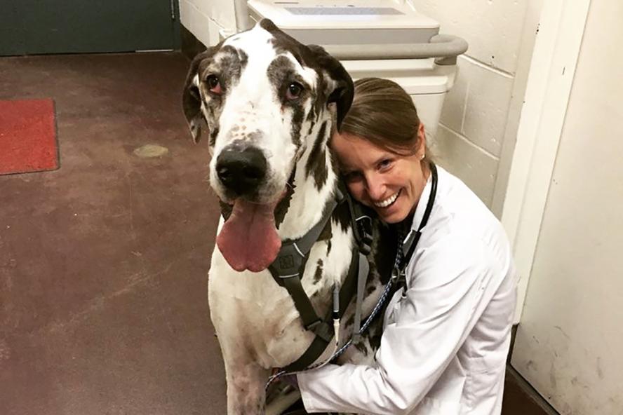 a smiling person wearing a medical white coat is kneeling and hugging a great dane.