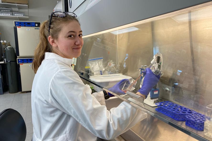 an individual wearing a white lab coat and medical gloves handles cell cultures in a glass case