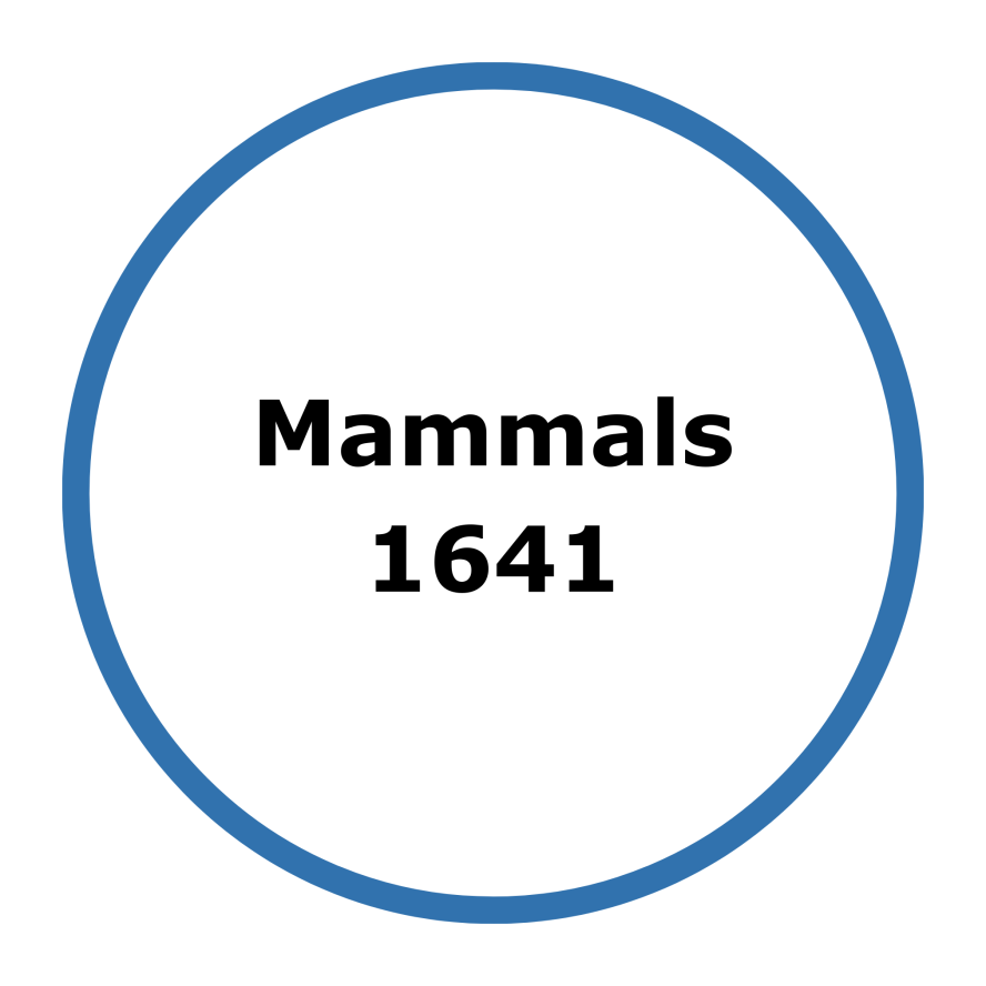 blue circular graphic with black text Mammals 1641