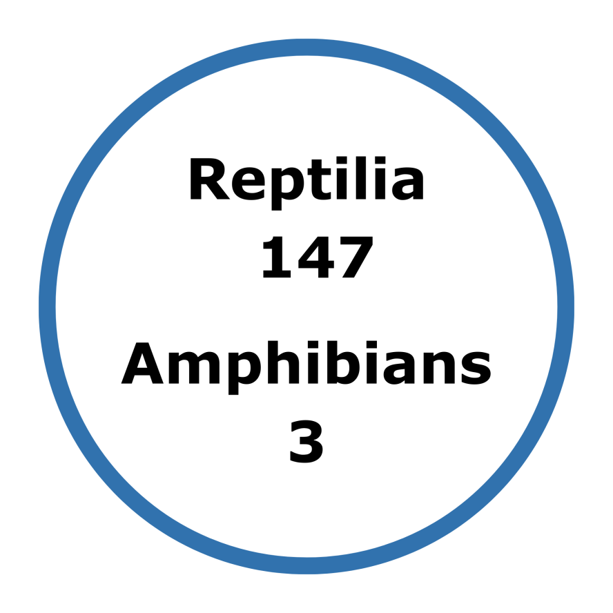 blue circular graphic with black text Reptilia 147 Amphibians 3