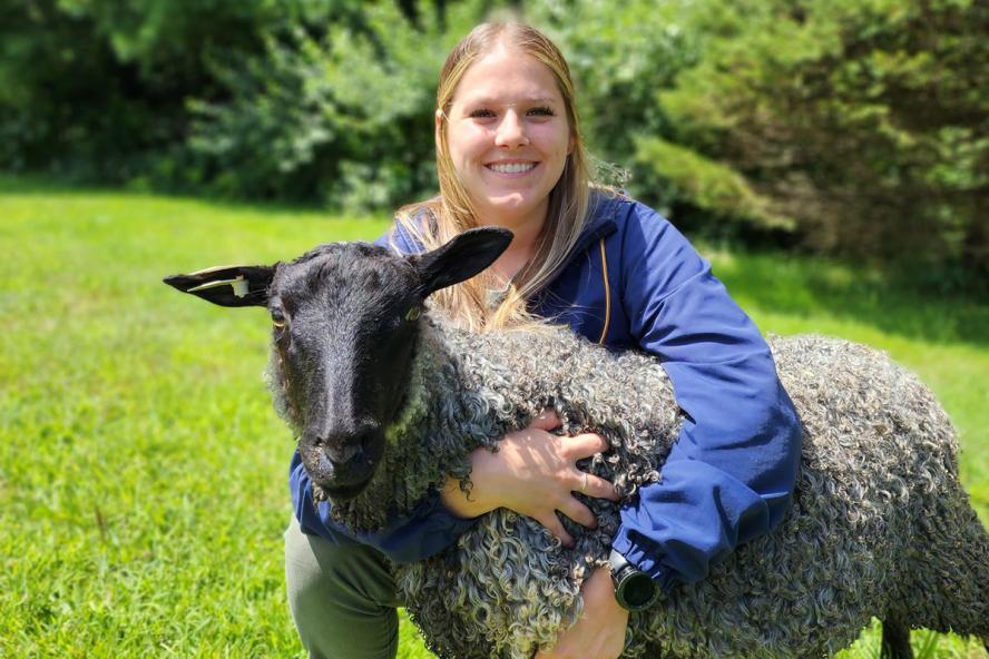 a smiling individual with long hair wearing a dark blue jacket embraces a gray Gotland sheep