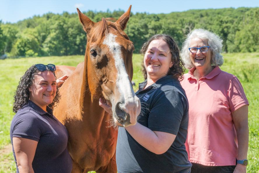 Brown horse with white down the forehead and nose stands in a sunny field with three smiling individuals. 