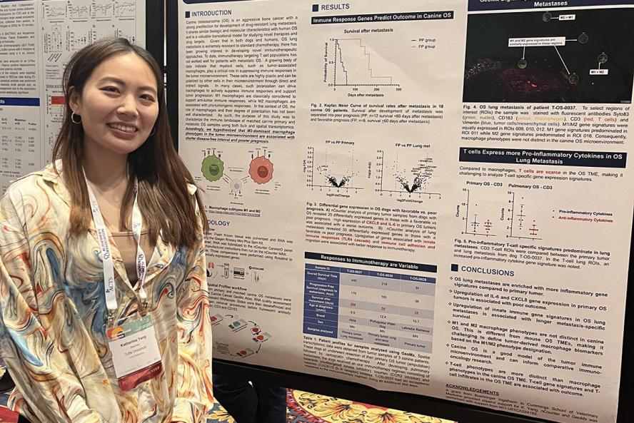 A smiling individual standing with long brown hair and a colorful shirt stands beside a research poster.