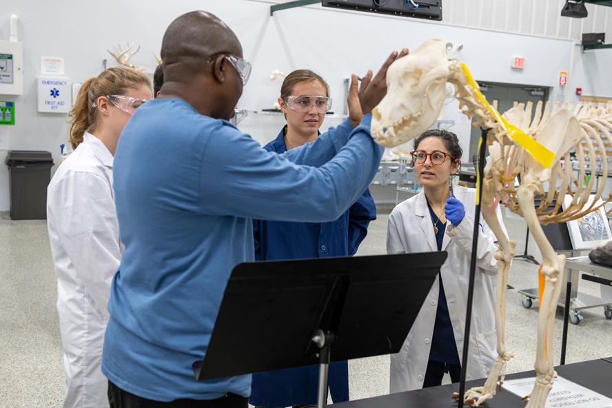 People in an anatomy lab stand at a skeleton display