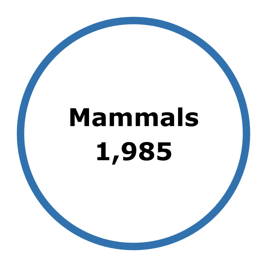 blue circular graphic 'mammals 1985.'