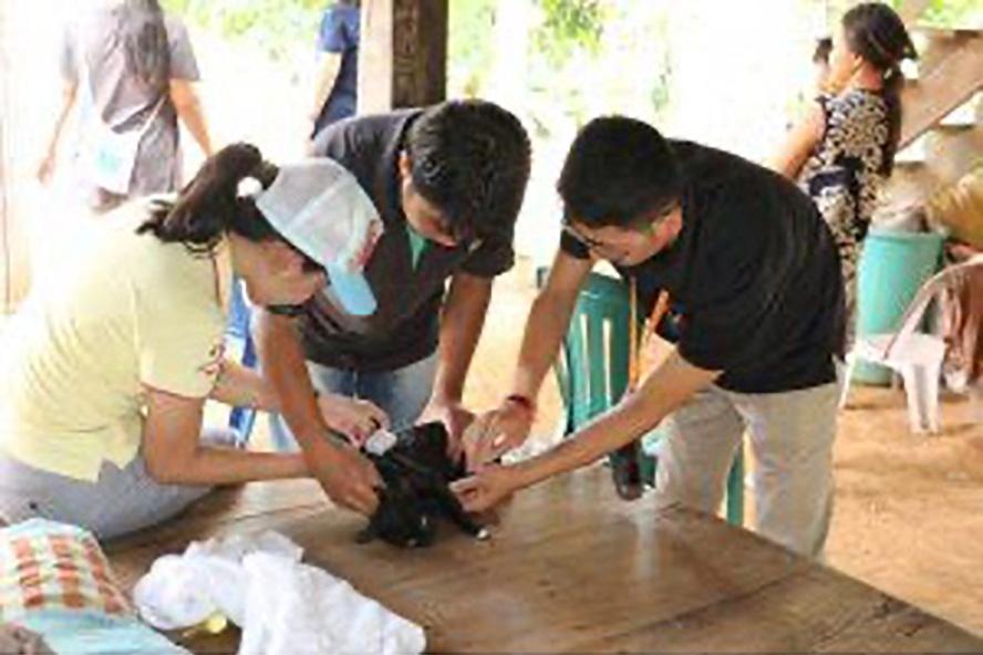 Three people examing a small animal on a table in Thailand.