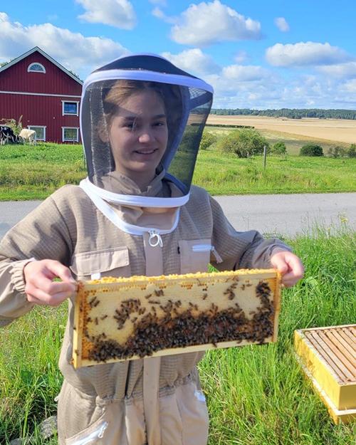 Anwen Burwick wearing a beekeeper suite and holding a tray of honey bees