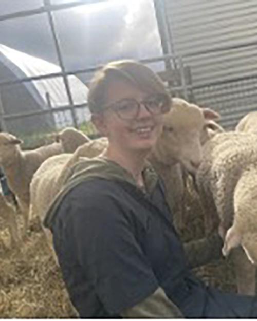 Kylee Webster in a barn stall surrounded by sheep.