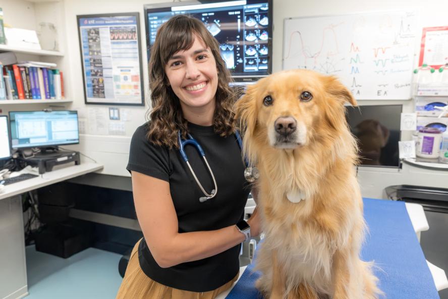A smiling veterinarian poses with a calm, golden-colored dog during an exam in a modern veterinary clinic