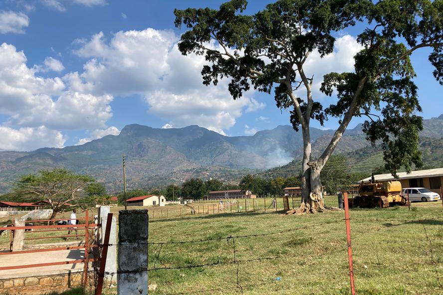 A rural landscape with a grassy field enclosed by a barbed-wire fence, a large leafy tree in the foreground, and mountains in the background under a blue sky with scattered clouds. Small buildings, a parked vehicle, and farm equipment are visible in the distance.