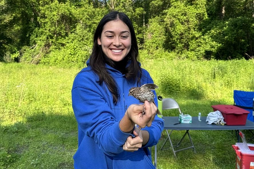 A smiling person in a blue hoodie gently holds a small brown bird in their hands while standing outdoors in a grassy, wooded area. A folding table with supplies and containers is set up behind them, suggesting a nature or wildlife activity.
