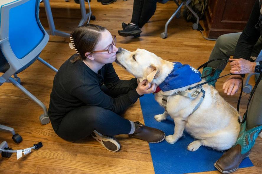 a person sitting on the floor being kissed by a yellow Labrador Retriever.