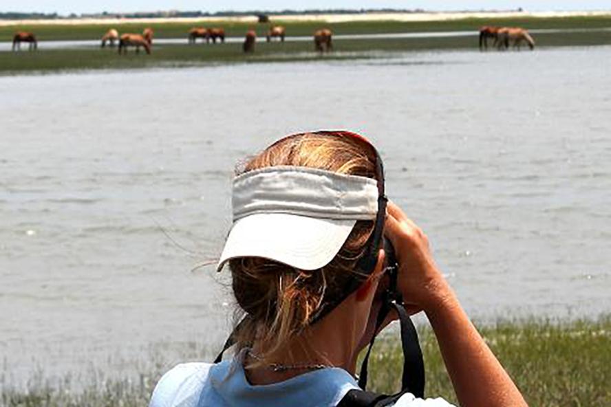 A person taking a photo from a distance of elephants on the other side of a water reservoir.