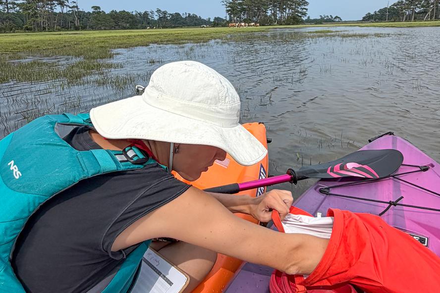 A woman in a kayak on the water reaches into her backpack, with horses on a grassy field in the background.