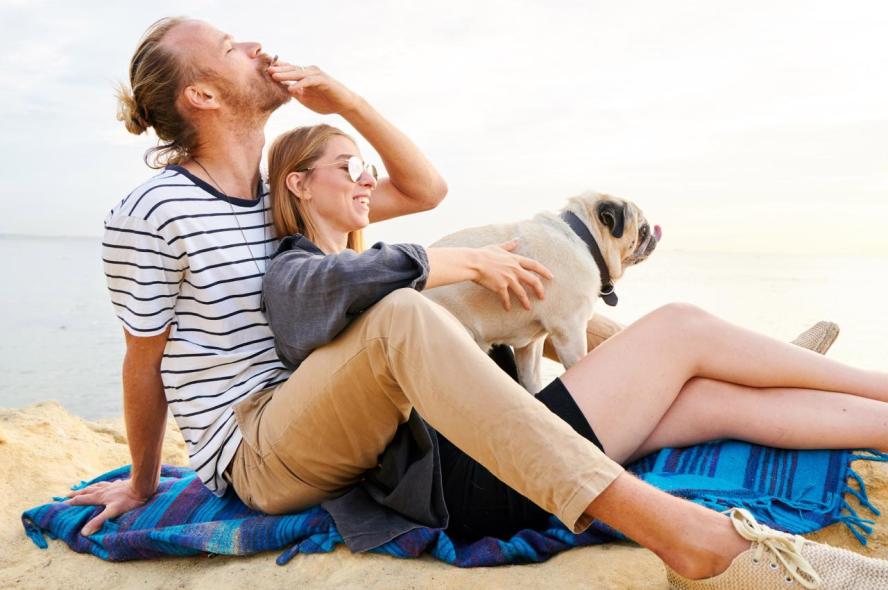 Could a Chat With a Veterinarian Help Smokers Kick the Habit?