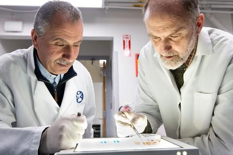 Researchers Akram Da’darah and Patrick Skelly in their lab at Cummings School of Veterinary Medicine.