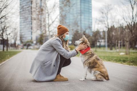 Woman crouching while petting a dog 