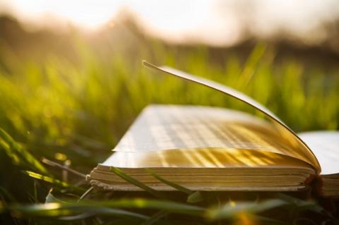 An open book lying in a field.