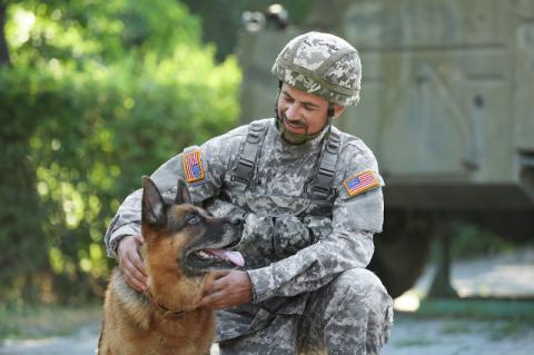 A US Army soldier kneeling next to a military working dog