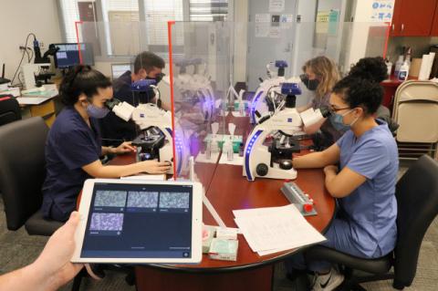 students in pathology lab using state of the art microscopes