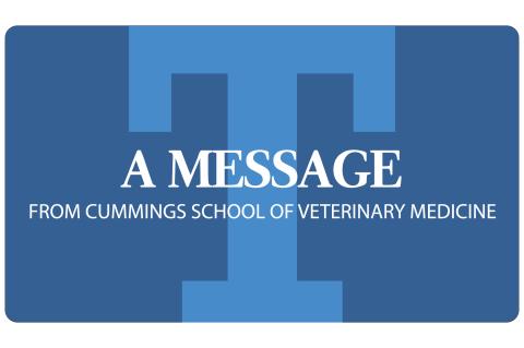 Text reading " A message from Cummings School of Veterinary Medicine" on a blue background.