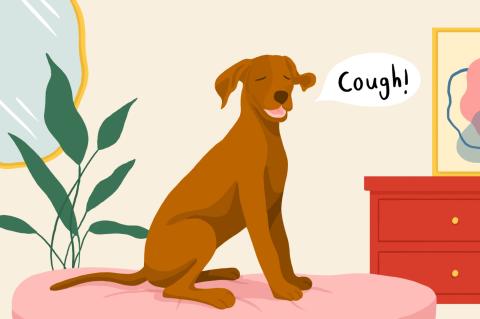 Animated dog with a word bubble that says "cough"