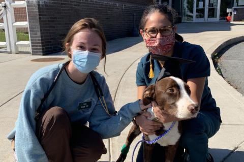 Herbie the puppy with two members of foster hospital staff.