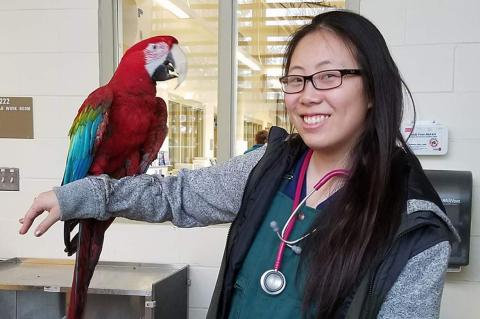 Photo of Petty Kim with a parrot on her outstretched arm.
