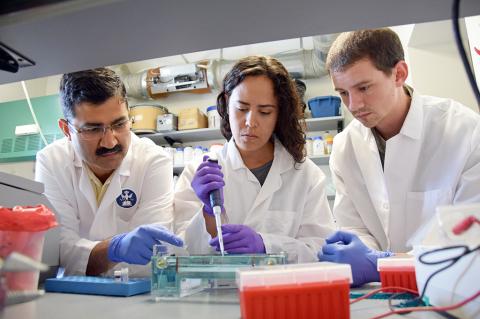 Three people working in a lab
