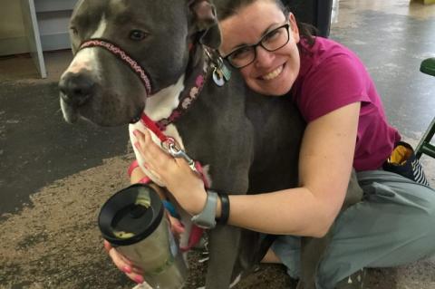 Sandra Robbins, a veterinary technician and behavior trainer at Foster Hospital for Small Animals hugging her pitbull names Amelia