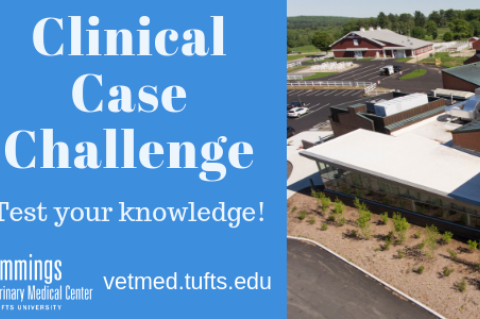 Clinical Case Challenge: A Collapsing Puppy