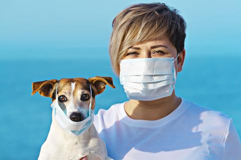 Woman in protective surgical mask holds dog in face mask.