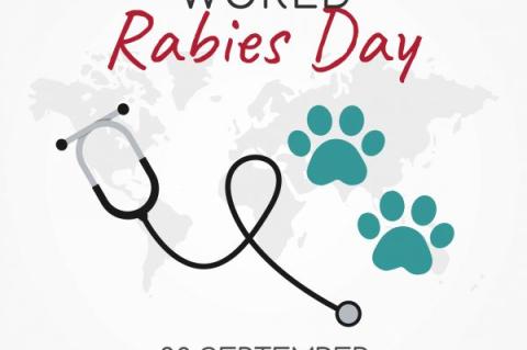 World Rabies Day Vector Illustration of paw prints and a stethoscope 