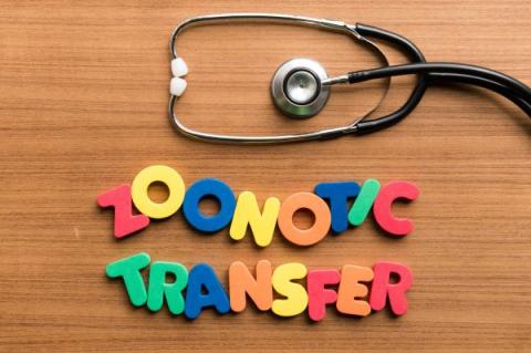zoonotic transfer colorful word with stethoscope on wooden background
