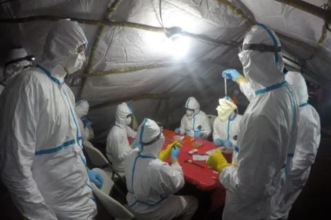 researchers in white safe suits examine bats for Ebola virus