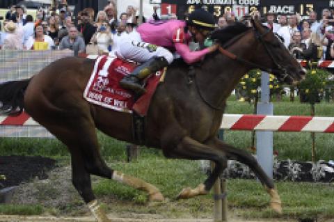 A rider on their racehorse.